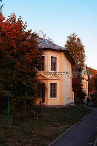 秋日暖阳下的黄色老宅