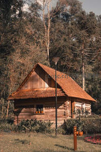 森林深处的原木小屋静谧安详