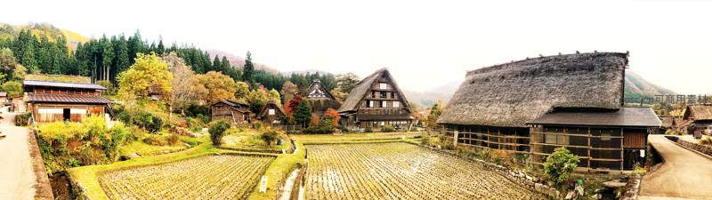 秋日古村落全景，传统茅草屋与梯田相映成趣
