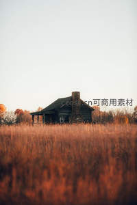 夕阳下的孤独木屋，金色草海中透出温暖乡愁
