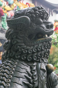 雄狮昂首怒目圆睁，鬃毛翻卷气势如虹