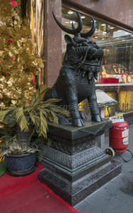 黑曜麒麟静立店前红毯