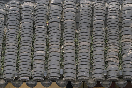 古瓦缝隙间顽强生长的绿植