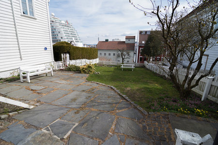 庭院绿地与现代邮轮的奇妙邂逅