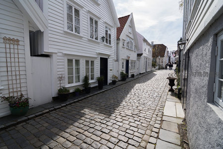 花盆装点的石板巷道与白墙建筑