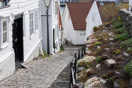 陡峭石阶小径旁的花坛与传统民居