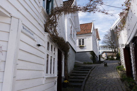 蜿蜒石板路旁的白色木屋巷道