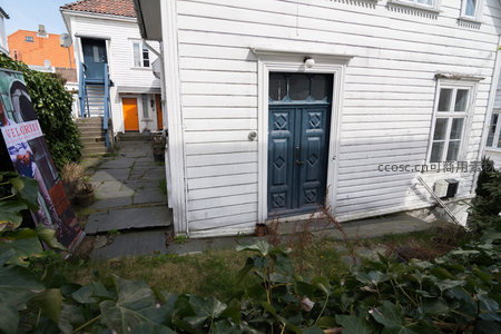 绿植环绕的白色住宅后院小径