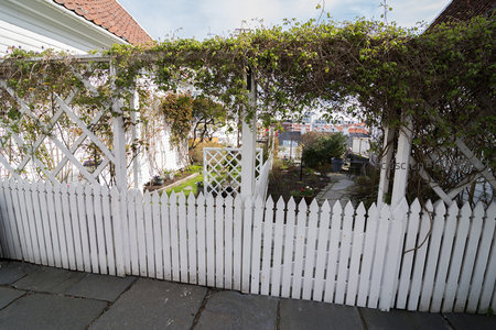 藤蔓爬满白色篱笆，庭院深处隐现城景