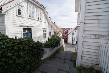 绿藤掩映下的石阶巷道与红屋