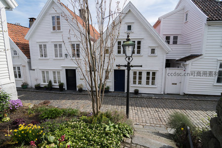 花园前的白色尖顶住宅群落