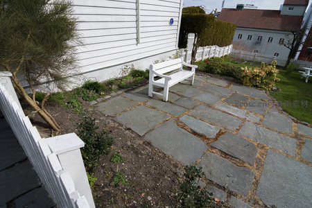 石板小径旁的白色长椅静谧安详