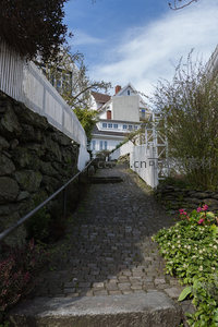 绿植环绕的鹅卵石阶梯小径