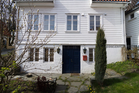 蓝门白屋掩映在初春枝叶间