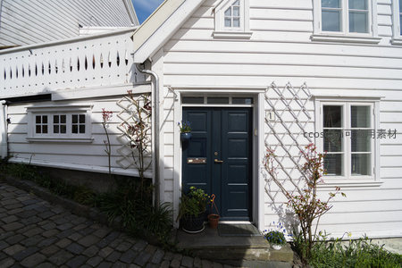 爬藤植物环绕的深绿入户门