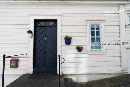 深蓝斜纹门配蓝窗框，墙面悬挂绿植装饰