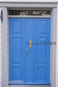 明亮蓝色双开门配金色门把手的现代感