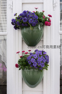 绿色壁挂花盆中盛放的紫色与粉色花朵