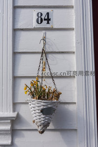 悬挂藤篮中的枯萎水仙与门牌84号