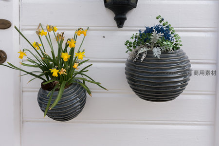 白色墙面上的双壁挂花盆
