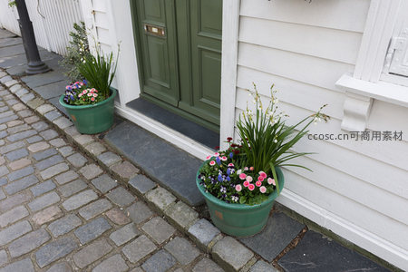 绿色门前花盆盛放，石板路旁春意浓