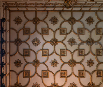 精致天花板装饰，金色雕花图案典雅华美