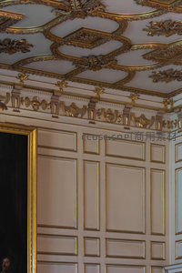 华丽金色雕花天花板与古典墙板