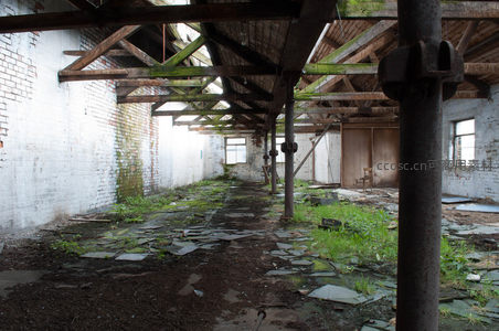 废弃厂房内部，杂草丛生的工业遗迹