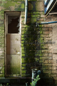 青苔覆盖的废弃砖墙与破窗