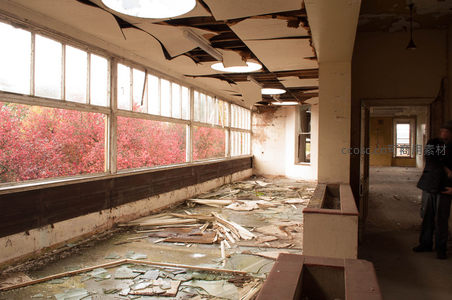 废弃走廊秋色映窗，破败之美引人深思