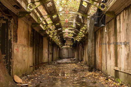 藤蔓缠绕的废弃长廊雨后景象