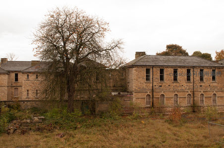 秋日荒芜古建筑群落