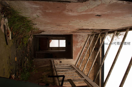 破败楼梯间的野草与残垣断壁
