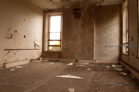 空荡房间内剥落的墙纸与阳光