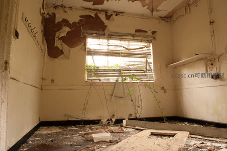 破败房间内植物从窗台顽强生长