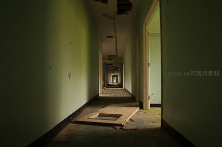 废弃医院绿色长廊的幽深与寂静
