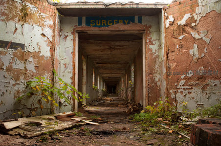 荒废手术室入口处的植物重生