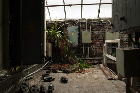 废弃厂房内植物破墙生长，工业设备锈迹斑斑