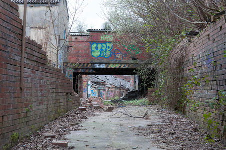 涂鸦覆盖的废弃桥洞，枯枝落叶铺满小径