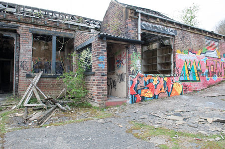废弃砖房外墙上涂鸦艺术与自然共生