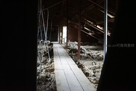 阁楼废墟中的木板小径