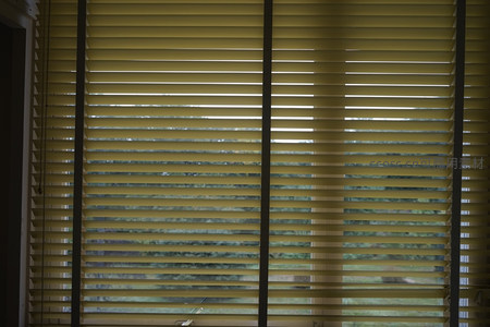百叶窗光影交错，窗外绿意若隐若现