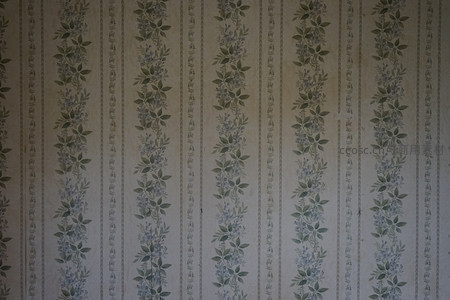 垂直条纹花卉壁纸，古典优雅的装饰艺术