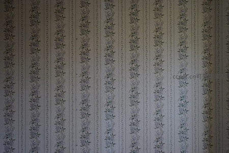 重复的藤蔓花纹墙纸，营造统一视觉效果