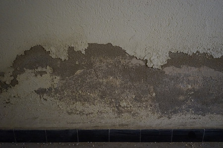 墙体底部严重受潮剥落的特写