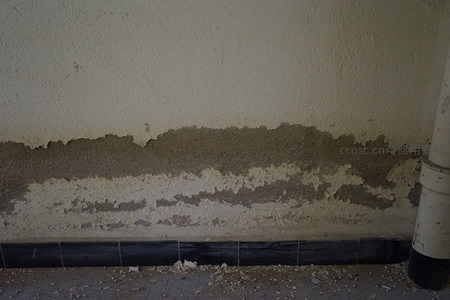 墙角受潮发霉与墙皮剥落的细节