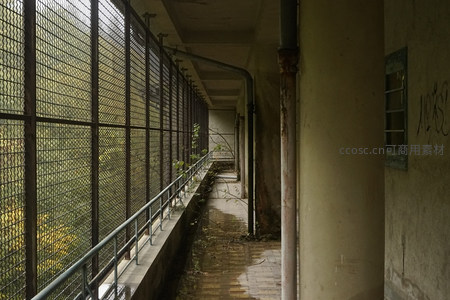 荒废走廊铁网森严，绿植悄然入侵