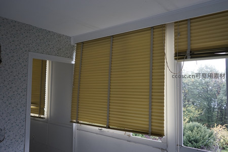 老旧房间内斑驳墙纸与窗外绿意