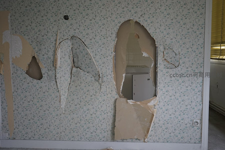 墙皮剥落处窥见内部结构的残景