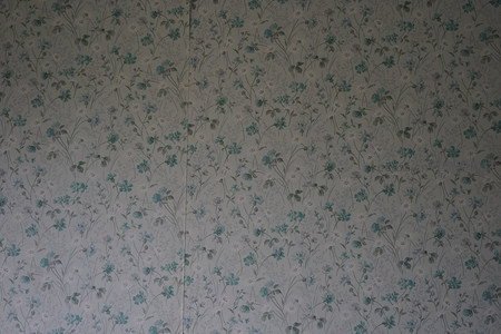 蓝花碎纹墙纸，复古温馨的室内背景